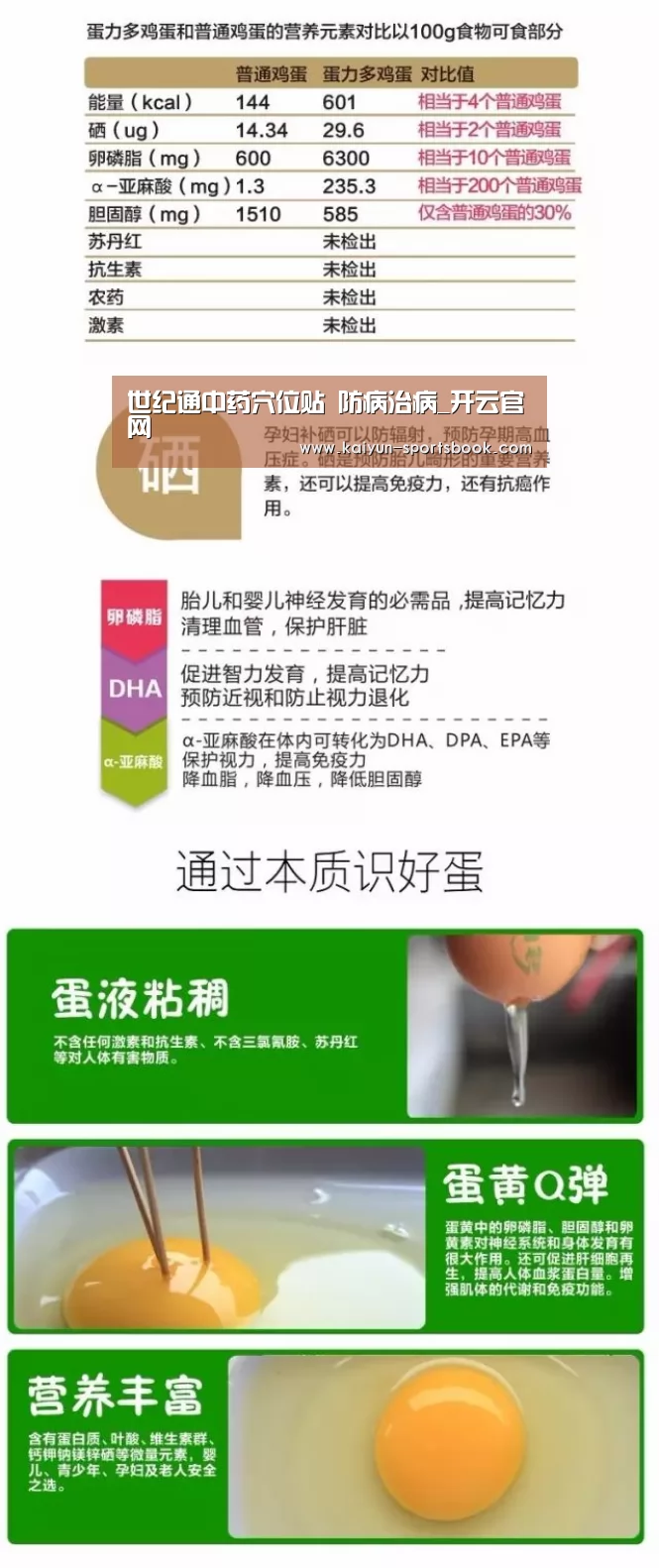开云竞猜
