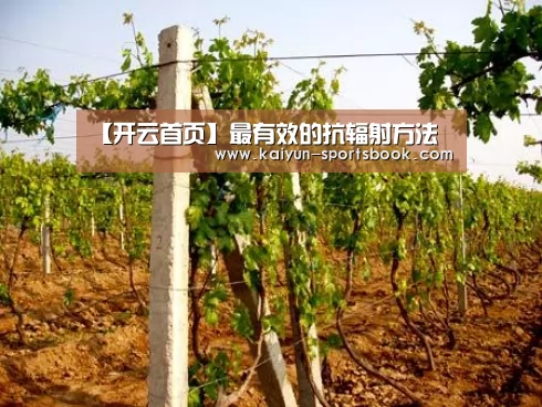 【开云首页】最有效的抗辐射方法(图1) 开云竞猜