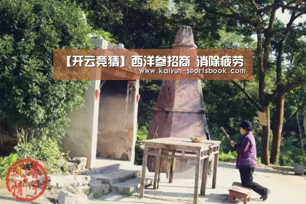 【开云竞猜】西洋参招商 消除疲劳(图4) 开云竞猜