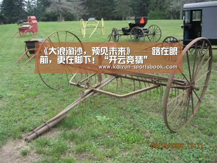 开云竞猜