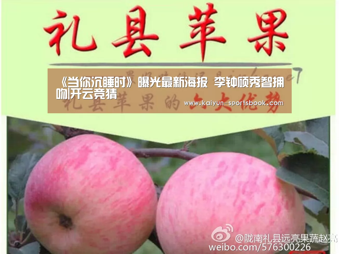 《当你沉睡时》曝光最新海报 李钟硕秀智拥吻|开云竞猜(图2) 开云官网